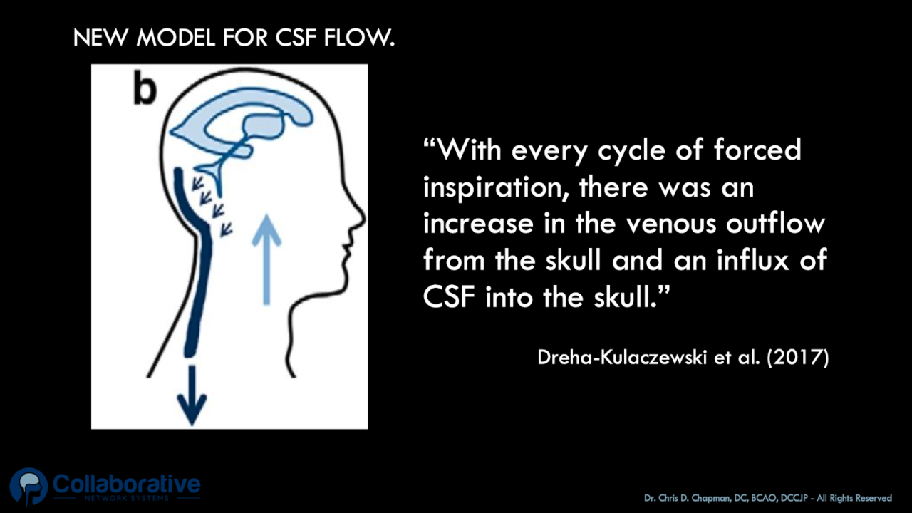 Improving Cerebrospinal Fluid Flow in the Brain | The Lift Clinic