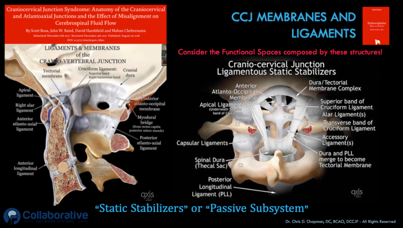 craniocervical-junction-ligaments-Static-Stabilizers